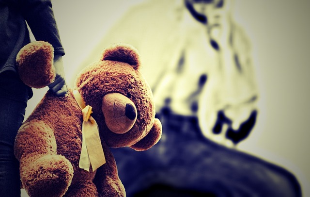 toy